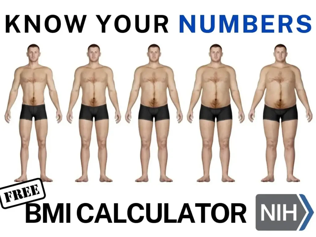 free bmi calculator